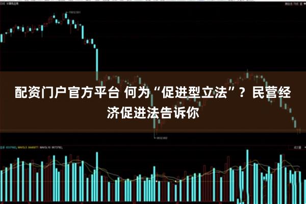 配资门户官方平台 何为“促进型立法”？民营经济促进法告诉你